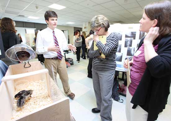 Jake Turchetta talks about the effect of temperature on chicken hatching to judges Carol Lee Tonge and Rebecca Rehm. Turchetta went on to take first place for the tenth grade. 