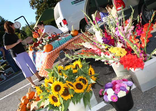 Andra Evans and Kristina Kronauer set up to sell raspberries, pumpkins, cucumbers, and flowers for Evans Farm of Still River.