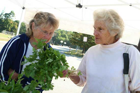 Marion Evans smells the fresh parsley held for her by Priscilla Endicott.