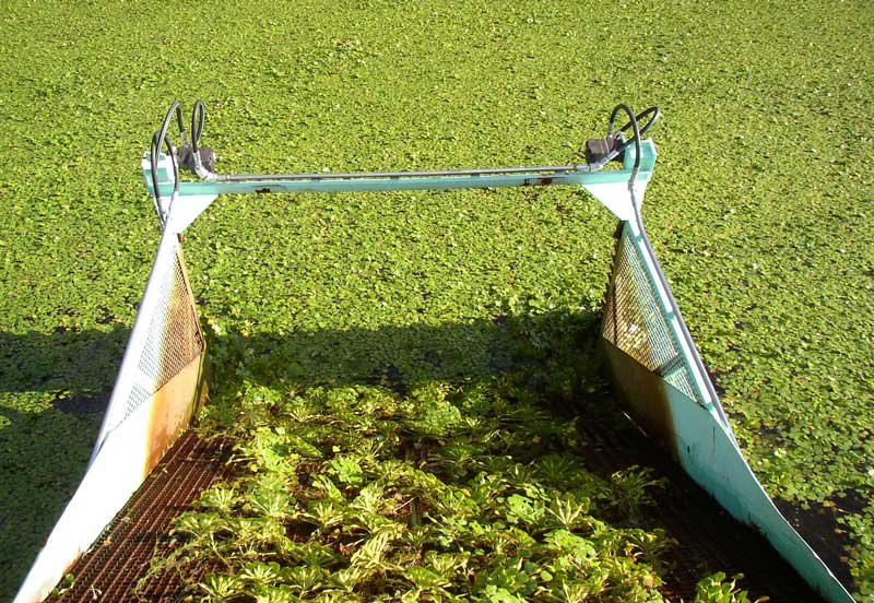 The town’s weed harvester helps to fight the growth of milfoil and water chestnuts in Bare Hill Pond. (Courtesy photo) The town’s weed harvester helps to fight the growth of milfoil and water chestnuts in Bare Hill Pond. (Courtesy photo)