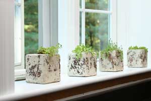 These candleholders were transformed into windowsill cactus planters. These candleholders were transformed into windowsill cactus planters.