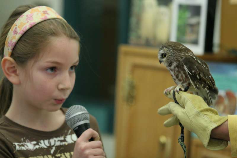 Catherine Caruso calls to a saw whet owl.