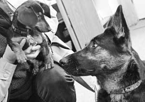 Couldn’t you give me just one little kiss for Valentine’s Day? I promise not to bite. (Photo by Lisa Aciukewicz)