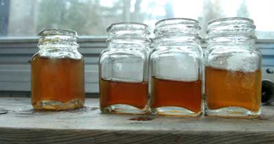 Bottles of syrup drawn off at various times of boiling offer a chance to sample the syrup. (Photo by Lisa Aciukewicz)