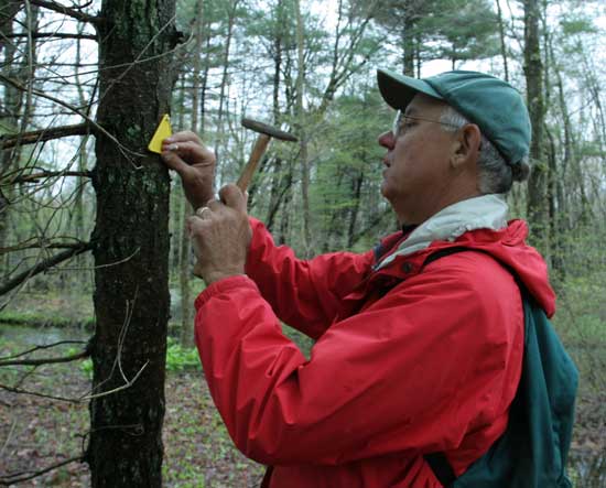 Phil Knoettner nails in a trail marker.