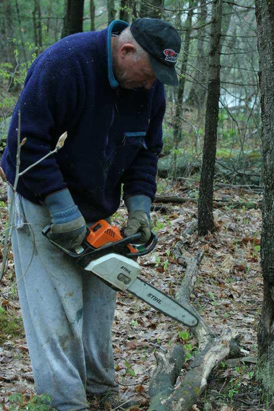  Ted Maxant cuts fallen tree limbs on a parcel of land he once donated to the town.