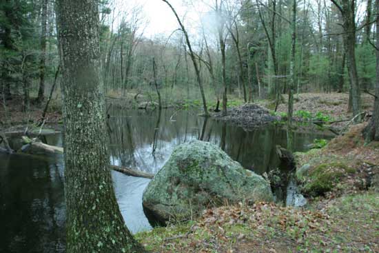 A still spot on the river on the Maxant land parallel to Ayer Road.