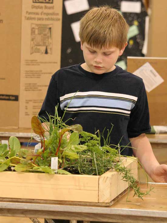 Christopher Steffek-Vogel looks over a garden display at the Earth Day fair at the elementary school.