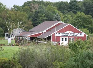 The Westward Orchard Farm Store is located on Mass Avenue. (Photo by Lisa Aciukewicz) The Westward Orchard Farm Store is located on Mass Avenue. (Photo by Lisa Aciukewicz)