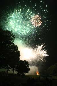 A cascade of fireworks lights up the nightime sky during the evening’s main event. 