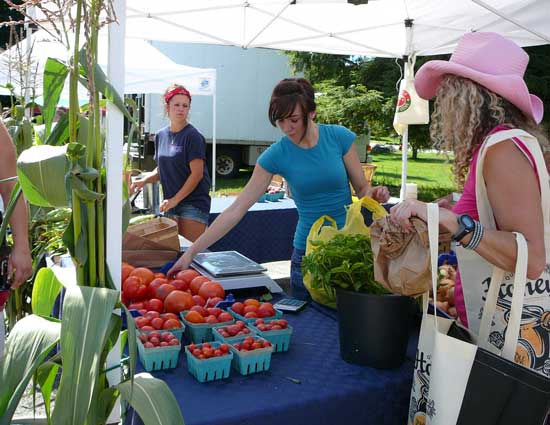 Vendors from Springdell Farm sell produce at the opening day of the Harvard Famers' Market.
