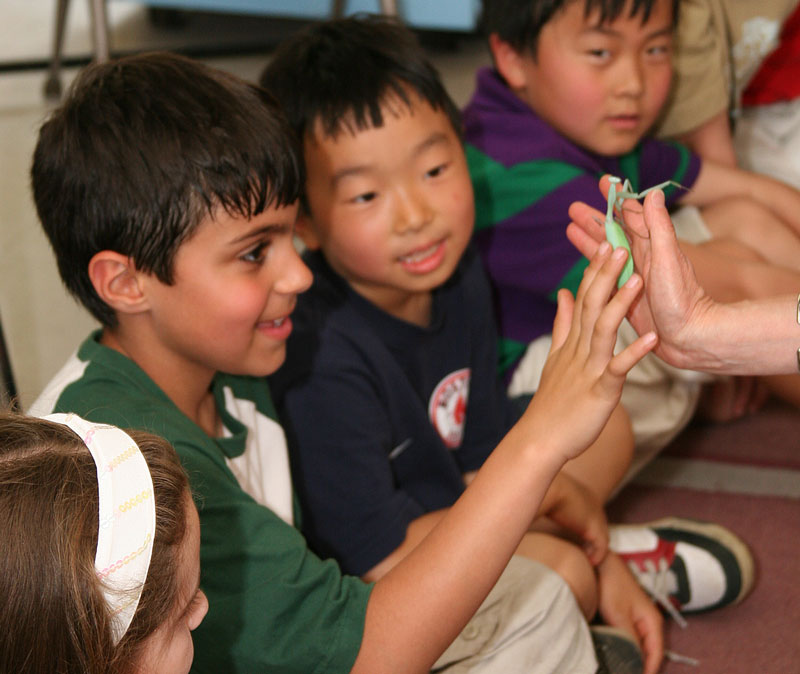 Isaac Abouaf, Rainier Yano, and William Zhao check out a praying mantis.