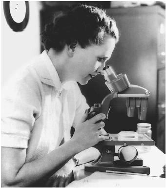 Rachel Carson. (Courtesy photo) Rachel Carson. (Courtesy photo)