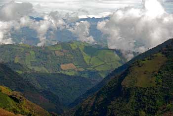 Mountainside coffee plantations in Colombia where Terroir Coffee’s beans for espresso originate. (Photo used by permission of George Howell Coffee Company ©2007-2009)