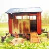 ‘The Biggest Little Farm’ portrays old-school farming with a sustainable future