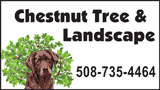 Chestnut Tree & Landscape